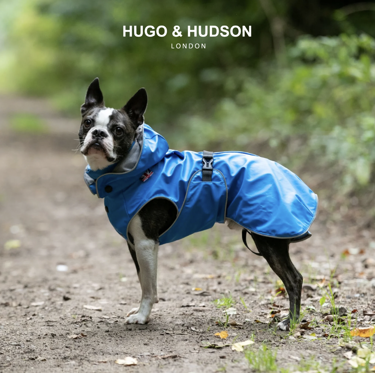 All weather Rain Coat Hugo Hudson Whistle Barks
